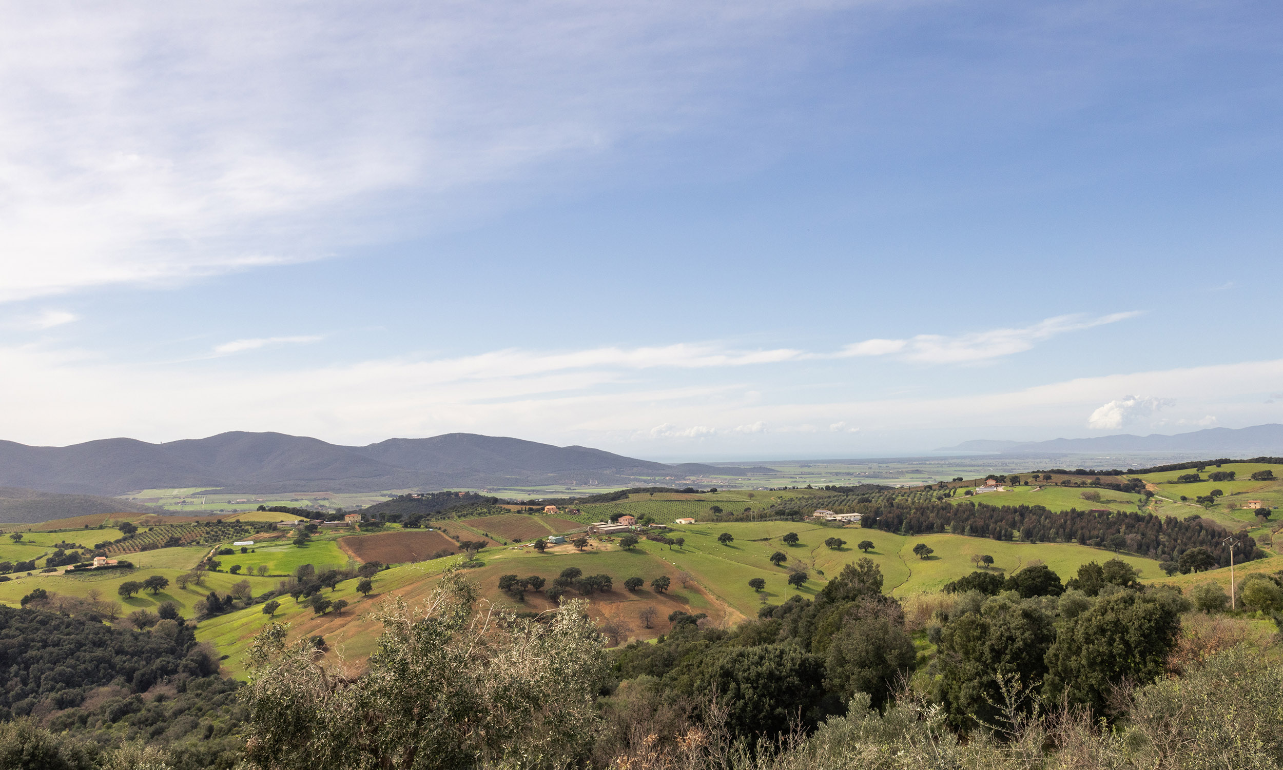 Casale-Oleo-Pic-MAR-_0001_2U2A0017 (2)