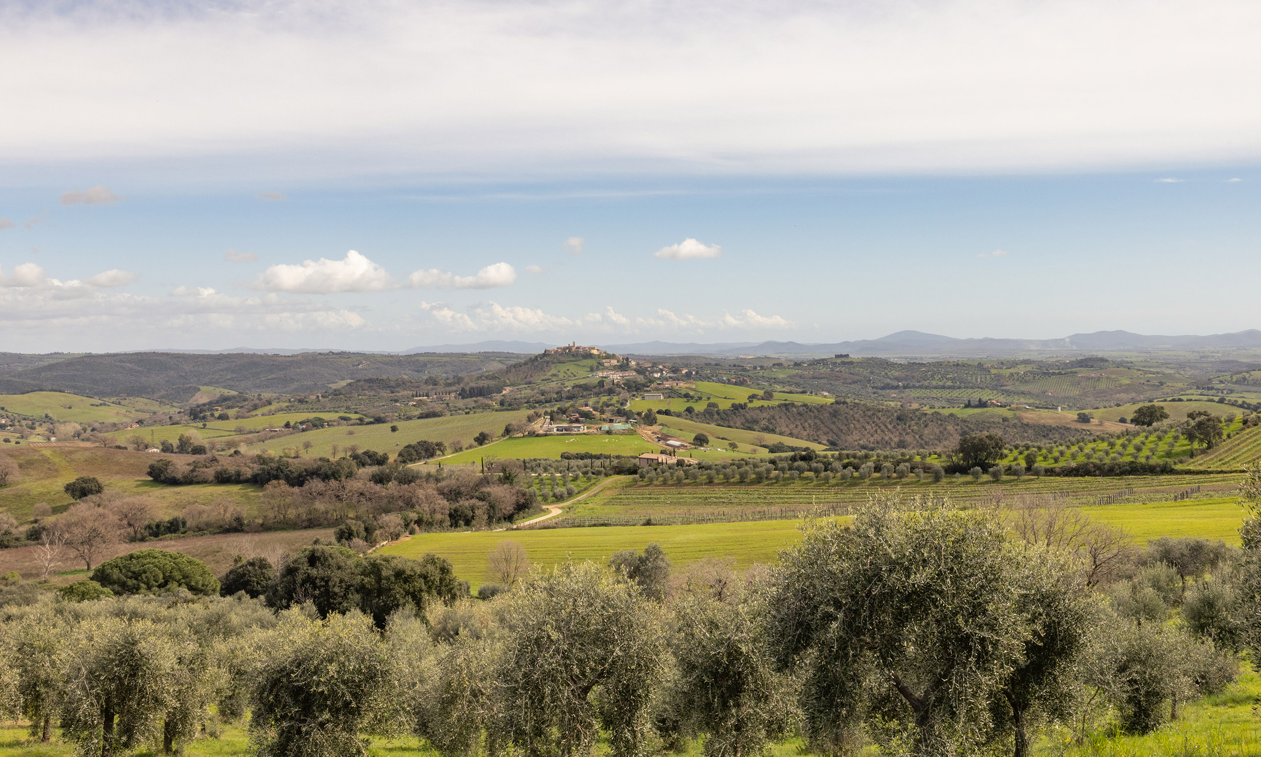 Casale-Oleo-Pic-MAR-_0002_2U2A0036 (3)