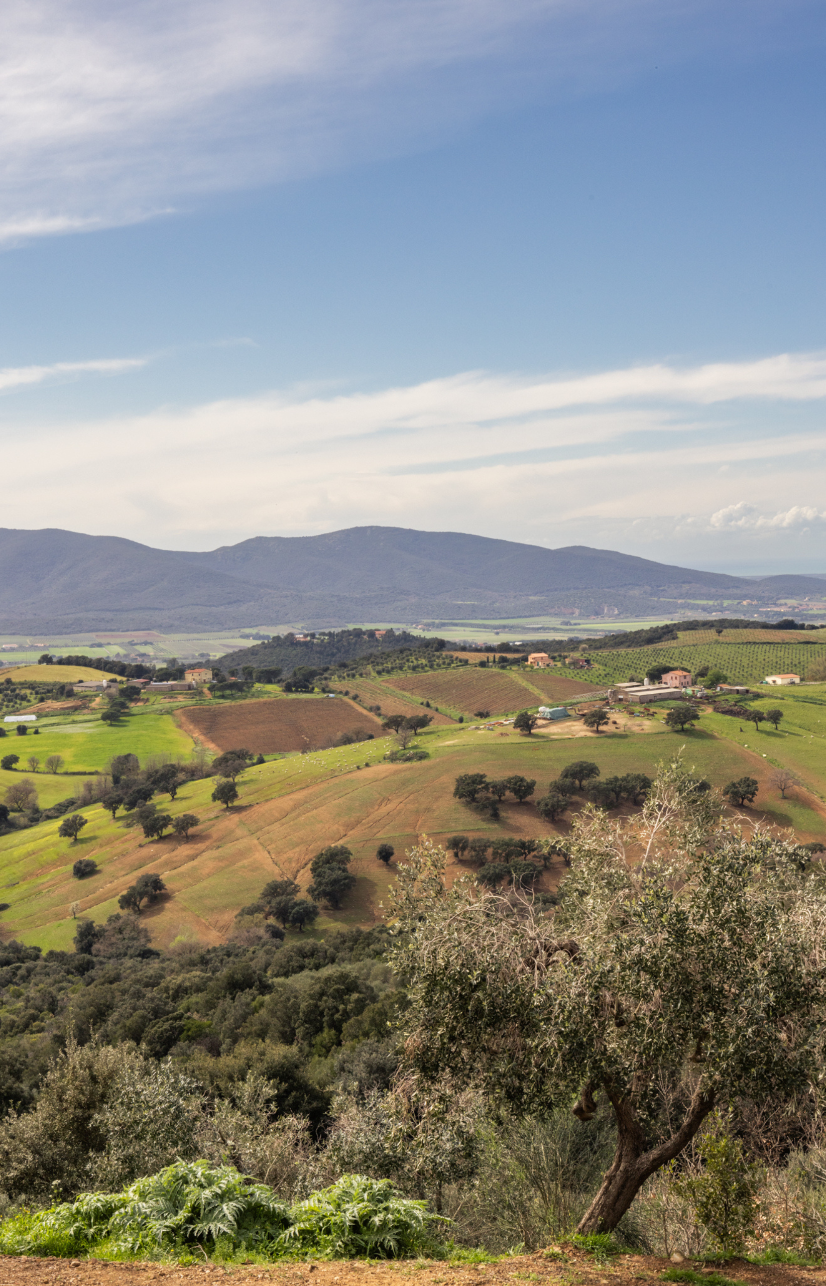 Progetto senza titolo